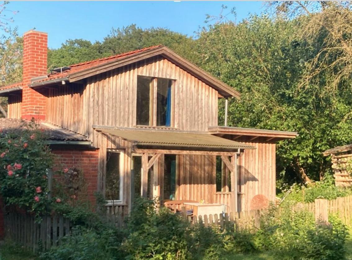 Natur Kunst Ferienhaus Neu Darchau エクステリア 写真